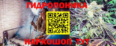 PSILOCYBIN Нарткала